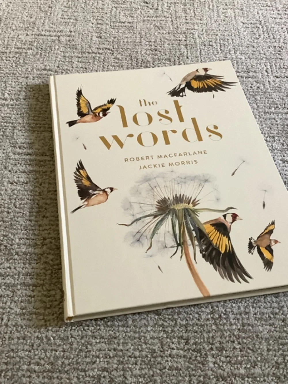 Bundle:  The Lost Words Book and Puzzle - Picture 2 of 13